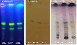 Image result for Opilia amentacea