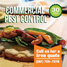 We're the premier pest control company servicing miami beach, fl and the surrounding area with many some of our miami beach pest control technicians specialize specifically in residential pest control. Professional Commercial Pest Control Service In South Florida