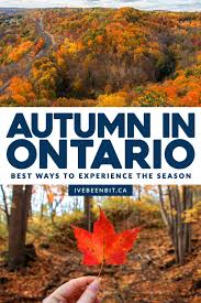 Best Ways To Experience Fall In Ontario Trip Ideas I Ve Been Bit A Travel Blog In 2020 Ontario Travel Canada Travel Fall Travel