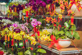 Chinese new year.the rooms are filled with lots of beautiful flowers and plants. Yellow Flowers In Honor Of The Vietnamese New Year Lunar New Stock Photo Picture And Royalty Free Image Image 106591211