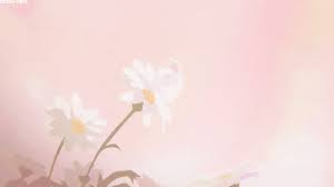 See more ideas about aesthetic gif, aesthetic anime, anime scenery. Worlds Apart Original Anime Characters Introduction Wattpad