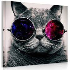 楽天市場 絵画 猫 かわいい アートパネル 猫 壁キャンバ 横50cm 縦50cm 送料無料 壁掛け 絵 絵通販キャンバス絵画 絵画販売 リビング 玄関 プレゼント店舗ディスプレイ おしゃれなアート インテリア絵画 nlife d19 takara fune 猫の壁紙 猫のポスター クールな猫