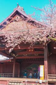 Find out more with myanimelist, the world's most active online anime and manga community and database. 25 Best Places To See Cherry Blossoms In Tokyo Free Guide