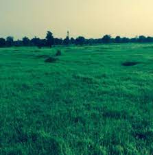 Maybe you would like to learn more about one of these? 10 Acre Land For Sale At Rs 500000 Unit à¤² à¤¡ à¤¡ à¤² à¤— à¤­ à¤® à¤² à¤¨à¤¦ à¤¨ à¤• à¤¸ à¤µ à¤ Available For Sale Maharashtra Lands Thane Id 9281227648