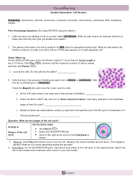 Gizmo exploration sheet answer key keywords: Modified Cell Division Gizmo