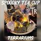 Spooky Tea Cup Terrarium family Workshop event image