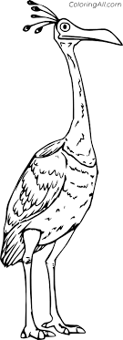 Let your child experience a new method to enjoy with as our children gently grow up into an exciting world of lively colors, different shapes and unusual. Kevin Bird From Up Coloring Page Coloringall