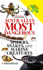 australian spiders the 10 most dangerous australian