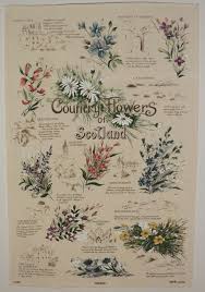 A legend says that the flower was involved when the norse army tried to invade scotland. Country Flowers Of Scotland Tea Towel Scottish Sword More
