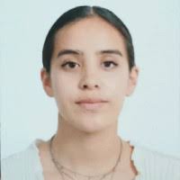 200+ perfiles de «Itzel Santos»