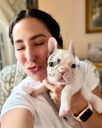 Lost dog in k-town area