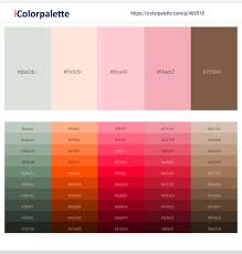 Shampoo with goldwell dualsenses color fade stop shampoo. 77 Latest Color Schemes With Pastel Pink Color Tone Combinations 2021 Icolorpalette