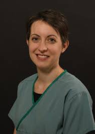 The Small Animal Hospital Team