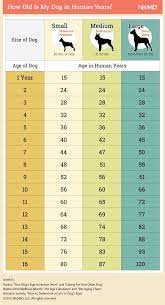 How To Calculate Your Dog S Age Dog Age How Old Is My Dog Dog Age Chart