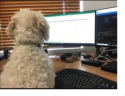 On becoming a leader