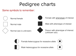 Which members of the family above are afflicted with huntington's disease? Pedigrees Lesson