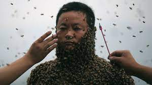 We did not find results for: Man Dons Bee Suit Made Of 460 000 Live Insects Abc News