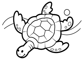 Schildkröte Ausmalbilder 08 Ausmalbilder