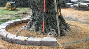 Tree rings and squares are a neat and simple solution for gardens of any size. Home Dzine Garden Building A Tree Ring