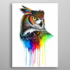 Rainbow Owl Poster Print By Pixie Cold Displate Art Owl Posters Sign Art
