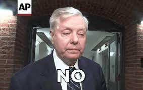 Lincoln project targets 'parasite' lindsay graham in new ad with extremely disturbing images. Lindsey Graham No Gif By Giphy News Find Share On Giphy