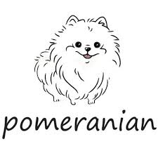 Pomeranian Shirt Etsy Cute Dog Drawing Puppy Drawing Easy Dog Logo Design