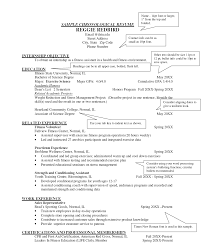 sample chronological resume template