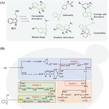 Engineering the L-tryptophan metabolism for efficient de novo biosynthesis  of tryptophol in Saccharomyces cerevisiae