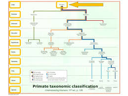 or how to make sense out of ch 6 and ch 7 of the text ppt