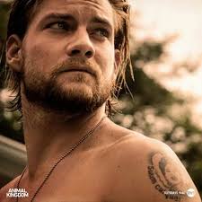 Animal Kingdom Tnt Animal Kingdom Tnt Animal Kingdom Animal Kingdom Tv Show