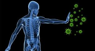 Image result for Immunity