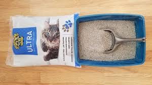 So, making sure your cat's paws are clean will help to prevent painful injuries and bacterial substances stuck to your cat's paws may end up in its mouth during grooming. Unbiased Dr Elsey S Cat Litter Review 2021 We Re All About Cats