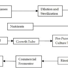 process flow diagram for a bakers yeast industry download