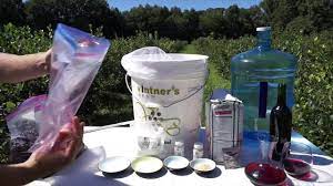 My fruit wines are typically made with chopped or crushed fruit, rather than juice. Homemade Wine Blueberry Wine How To Make Fruit Wine Diy Wine Recipes Youtube