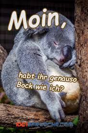 Davon wiederum die besten, ergeben dann. Guten Morgen 49 Bilder Fur Mein Schatz Lustig 2019 Guten Morgen Witzig Guten Morgen Lustig Lustige Guten Morgen Grusse