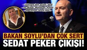 The latest tweets from @sedat_peker Son Dakika Bakan Soylu Dan Sedat Peker E Muptezel Operasyon Elemani Fare Gibi Gazete Turuncu