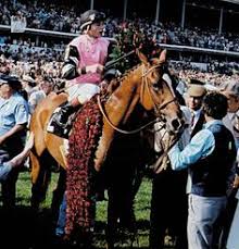 102 Best Affirmed Images In 2019 Triple Crown Winners
