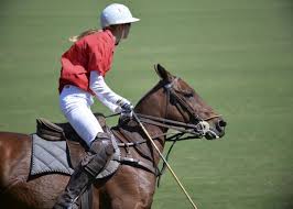 We did not find results for: The Sarasota Polo Club At Lakewood Ranch