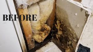 How to get rid of and prevent mold growth on concrete environix. I Found Mold In My Basement New Insulation New Drywall New Pretty Paint Thrift Diving Youtube