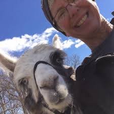 Camera recommendations for outdoor barn use