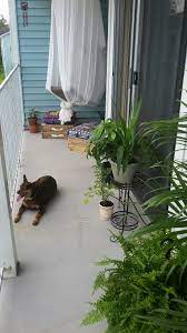 Long Narrow Balcony Narrow Balcony Balcony Small Balcony Decor
