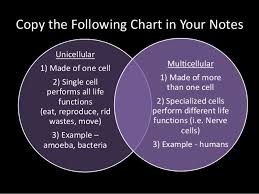 Unicellular Multicellular Science Cells 5th Grade Science Science Education