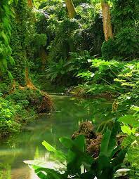 Colourfulness Beautiful Places Nature Landscape