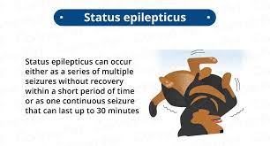 Cluster Seizures In Dogs Canna Pet