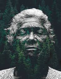 Ytene, the White Stag, and the Wise Woman of the Forest