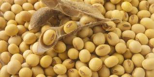Disempurnakan dengan kandungan protein dari semua bahan dan kandungan vitamin serta mineral terutama dari jenis buah kering membuat granola seolah menjadi paket makanan. 8 Manfaat Kacang Kedelai Bagi Tubuh Bantu Atasi Diabetes Hingga Sehatkan Tulang Merdeka Com
