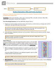 Student exploration rna and protein synthesis. Gizmos Lab Rna And Protein Synthesis 2 Pdf Name Jana Truong Date 11 19 20 Student Exploration Rna And Protein Synthesis Directions Follow The Course Hero