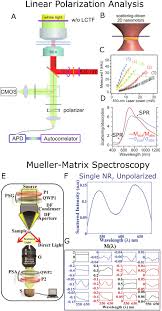 In physics, telecommunications, and astronomy, forward scatter is the deflection—by diffraction, nonhomogeneous refraction, or nonspecular reflection by particulate matter of dimensions that are large with respect to the wavelength in. Single Particle Scattering Spectroscopy Fundamentals And Applications