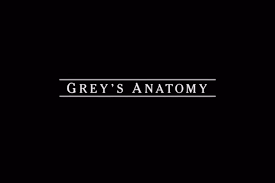 Maybe you would like to learn more about one of these? Grey S Anatomy Staffel 14 Eine Hochzeit Und Ein Todesfall