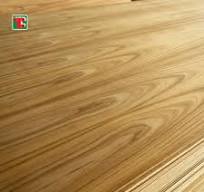 Compensato impiallacciato in teak cinese 3 mm - venature di ...